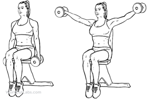 Seated_Lateral_Dumbbell_Raise_F_WorkoutLabs